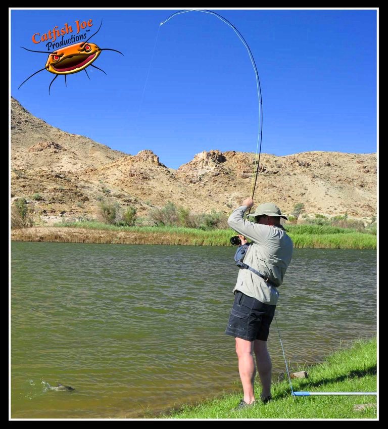 Fly Fishing Photo Gallery Fly fishing for Yellowfish Pictures Smallmouth Yellowfish Photos